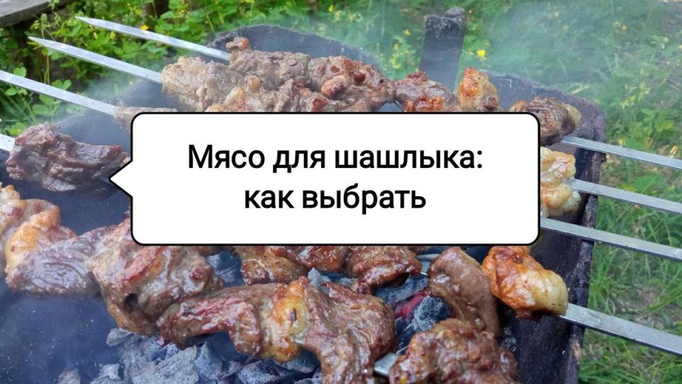 Как выбрать мясо для идеального шашлыка
