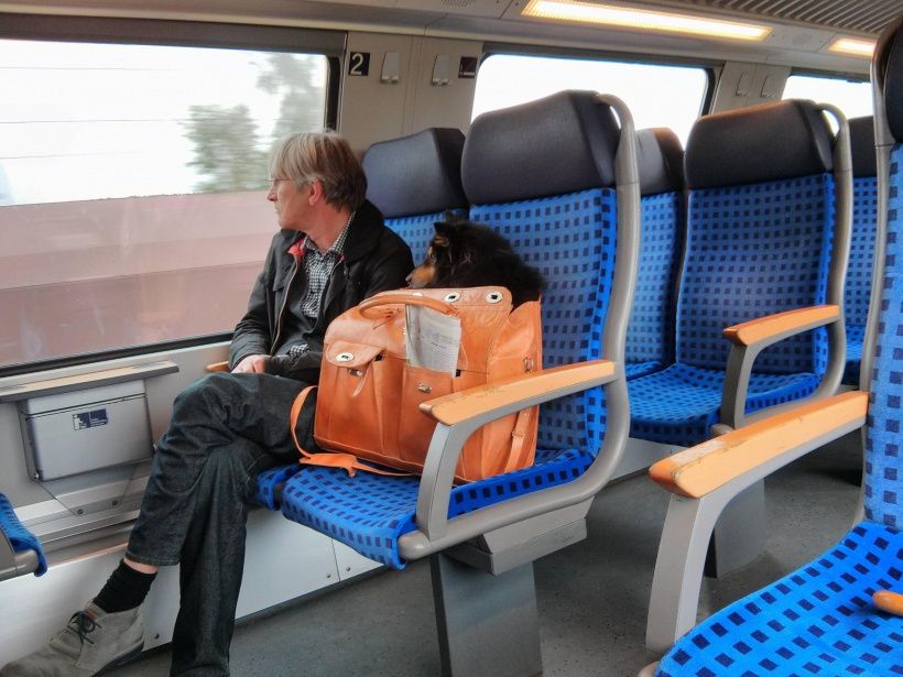 Как хамство в общественном транспорте портит настроение