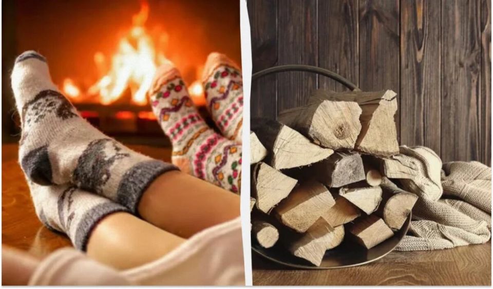 Секреты эффективного отопления: какие дрова согреют лучше всего