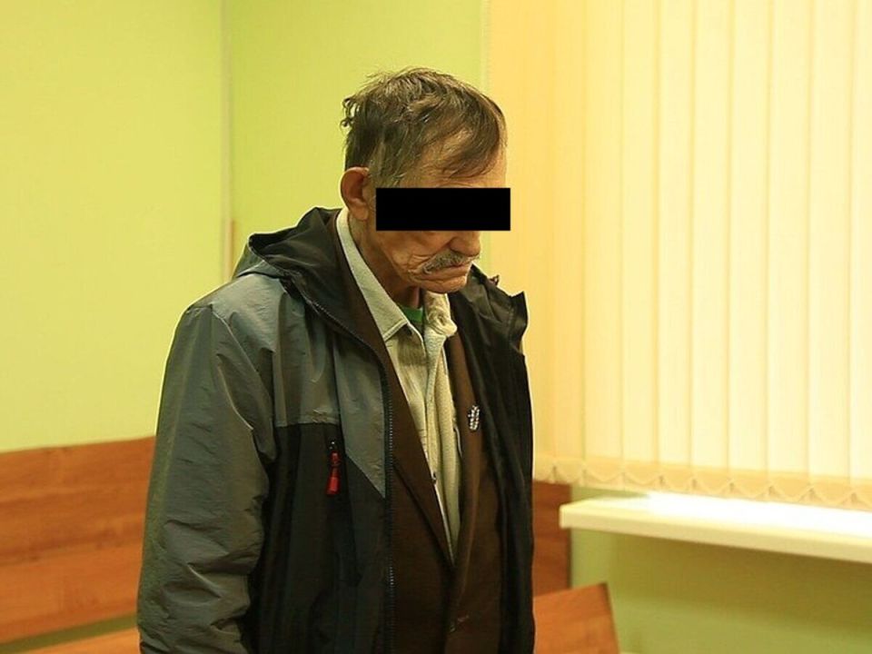 Пенсионера осудили за спил сосны: как одно дерево стало причиной уголовного дела