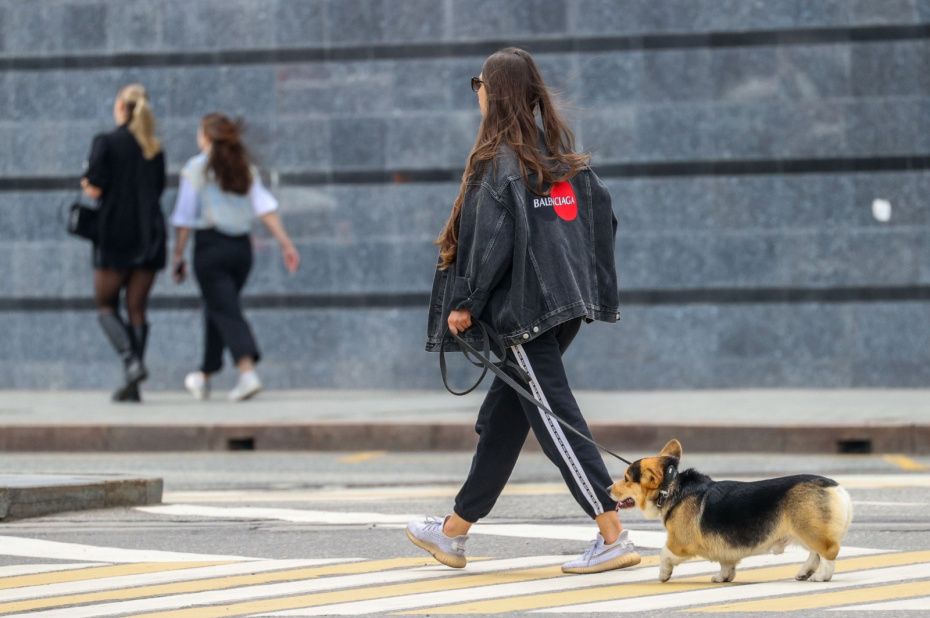 Штрафы за экзотических питомцев: что нужно знать владельцам животных в квартирах