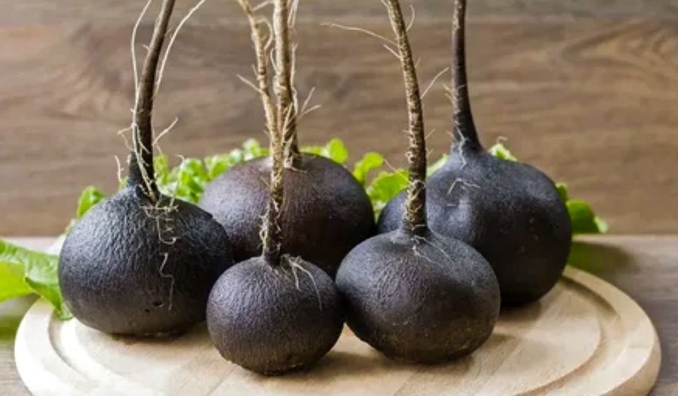 Забытая редька: новый взгляд на традиционное блюдо