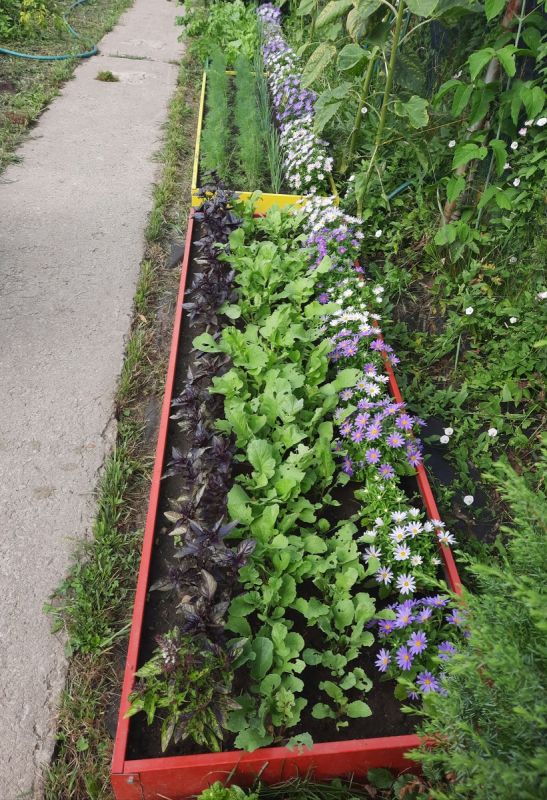 Садовые грядки: как уютная эклектика цветов и зелени преобразила планировку