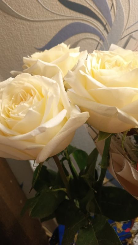 Возвращение старой практики: что стоит за обязательным распределением медиков в 2025 году?