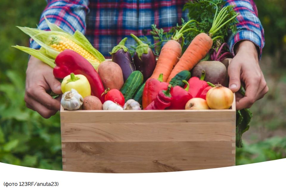 Создание термоящика для хранения овощей зимой на балконе