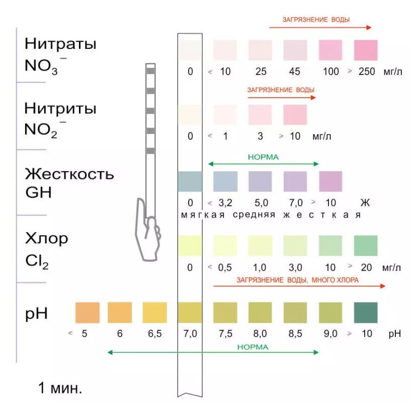 Как жёсткость воды влияет на работу вашей посудомоечной машины и что с этим делать?