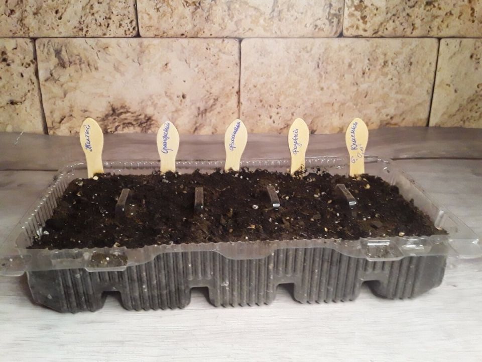 Удивительные ритуалы дачников: от выбора лейки до вызова дождя