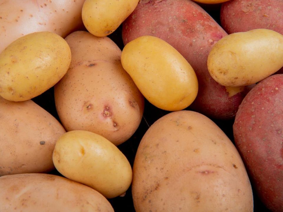 Приготовьте картошку правильно, чтобы собрать ранний урожай