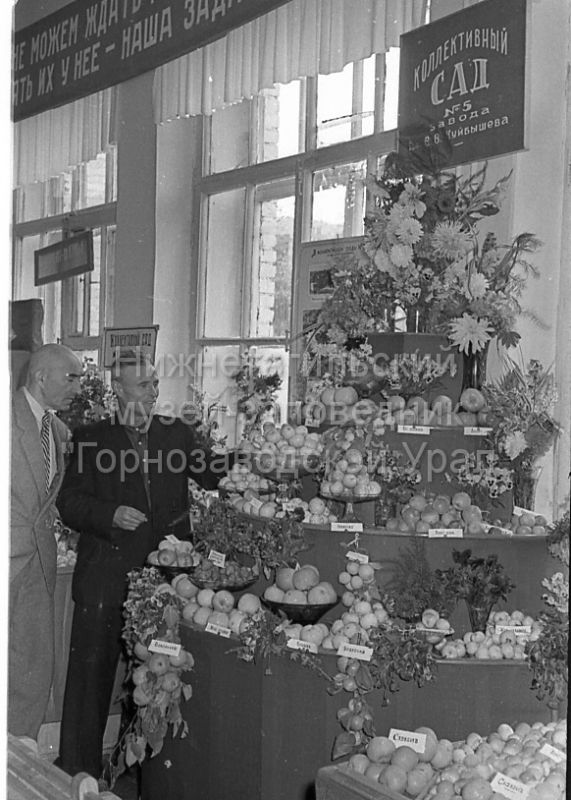 Зеленая история: как коллективный сад металлургов стал символом сплоченности