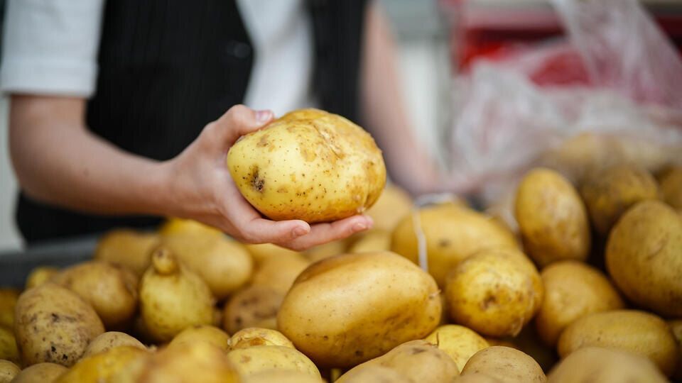 Росстат сообщает о падении цен на овощи и фрукты в сентябре 2025 года