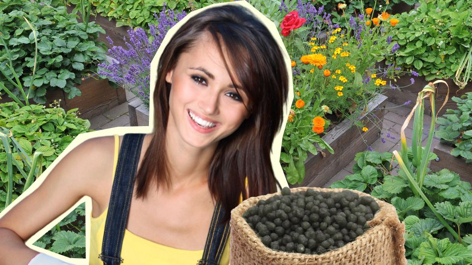 Убьете сразу двух зайцев: вот что уничтожит слизней и пойдет на пользу растениям