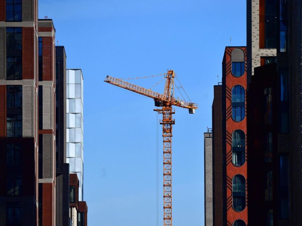 Милосердие для пожилых: депутат призывает амнистировать обманутых мошенниками