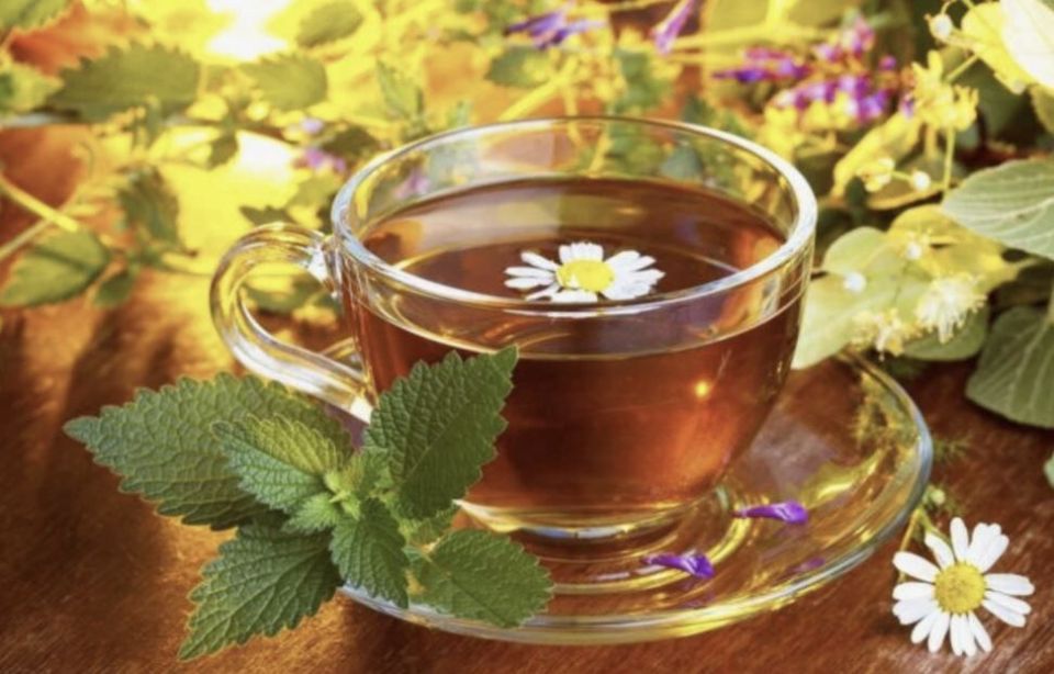 Ароматный сад: как вырастить лучшие чайные травы для волшебных напитков