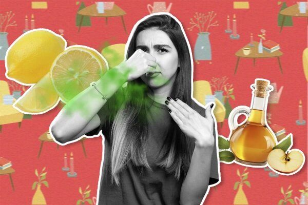 Восстанавливаем свежесть: 5 натуральных методов устранения запахов в квартире