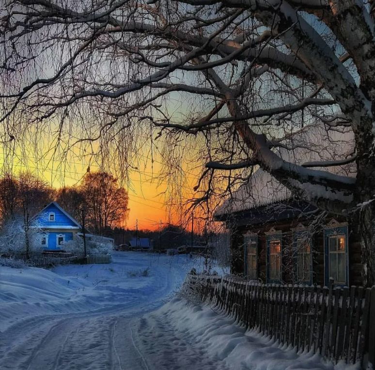 Приметы и прогнозы: как природа предвещает зимние суровости в 2025 году