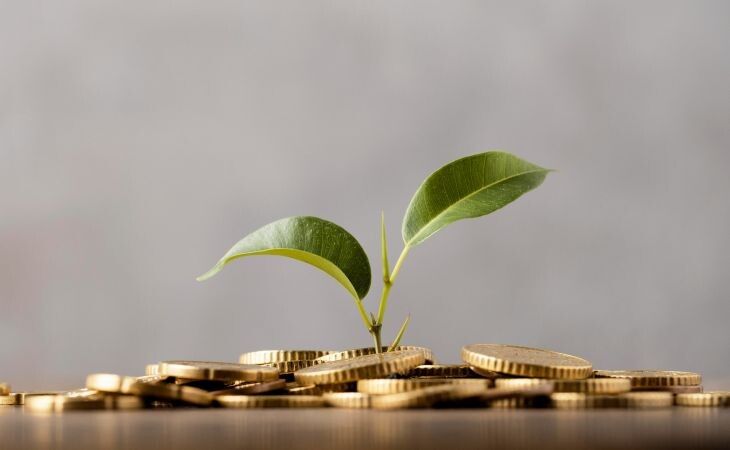 Инвестиционная культура в России: облигации на гребне популярности