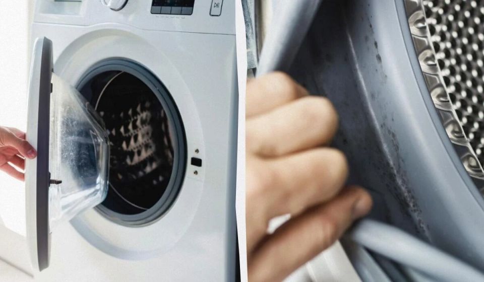 Как избавиться от плесени в стиральной машине: полезные советы и секреты