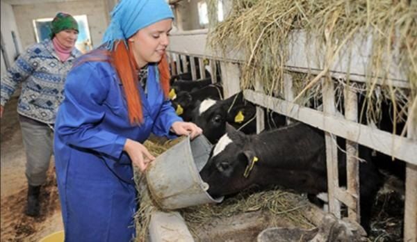 Невидимые льготы: как женщины, работающие в сельской местности, могут воспользоваться правами в 2025 году