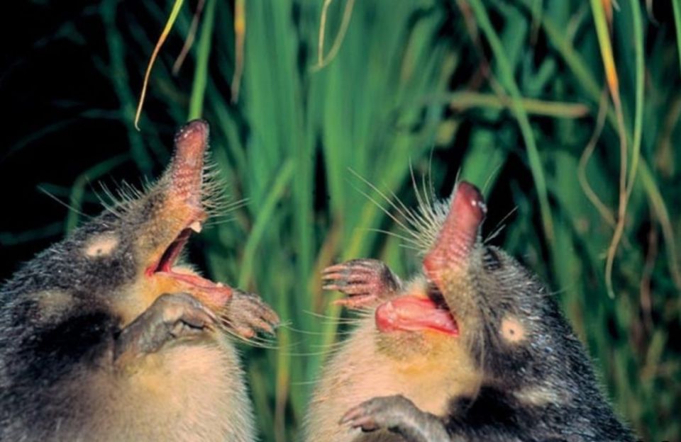 Как заповедники становятся неприступными для нарушителей