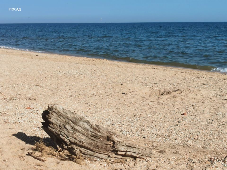 Как выбрать идеальный домик у моря: советы от опытной хозяйки