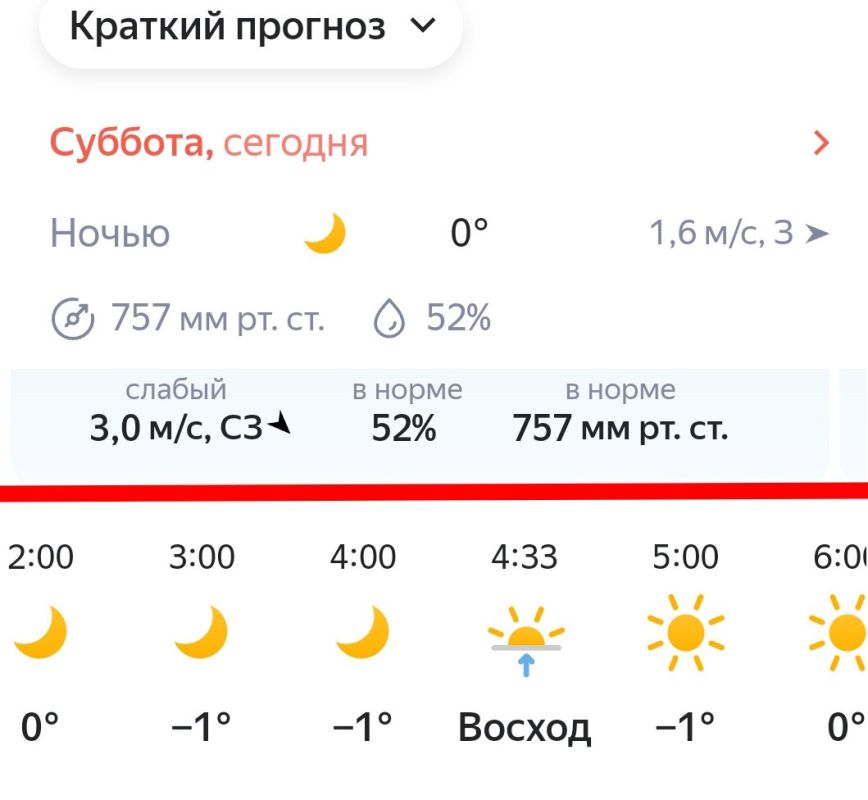Как защитить растения от возвратных заморозков: простые советы для садоводов