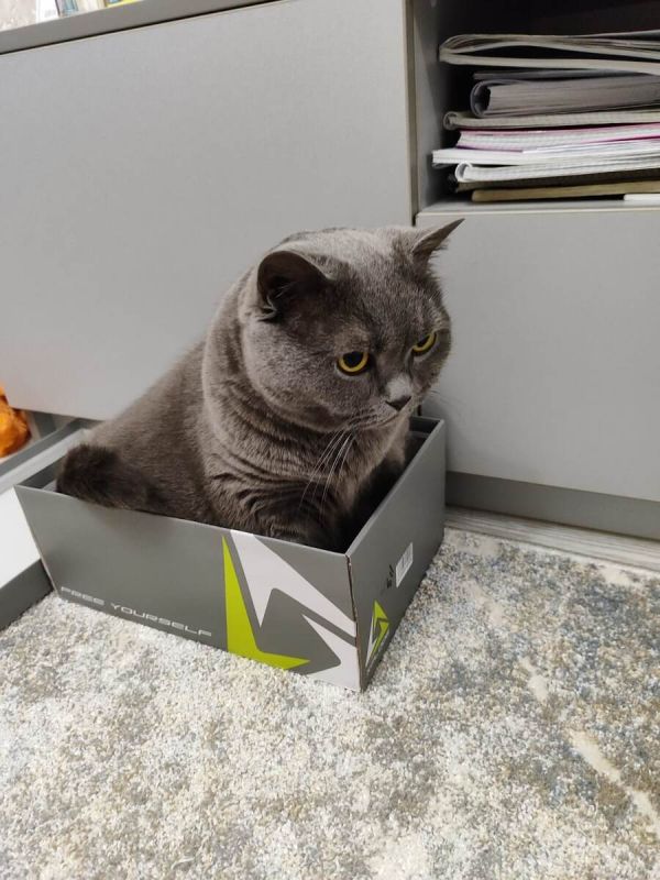 Пенсия или собственный капитал: что выбирает новое поколение?