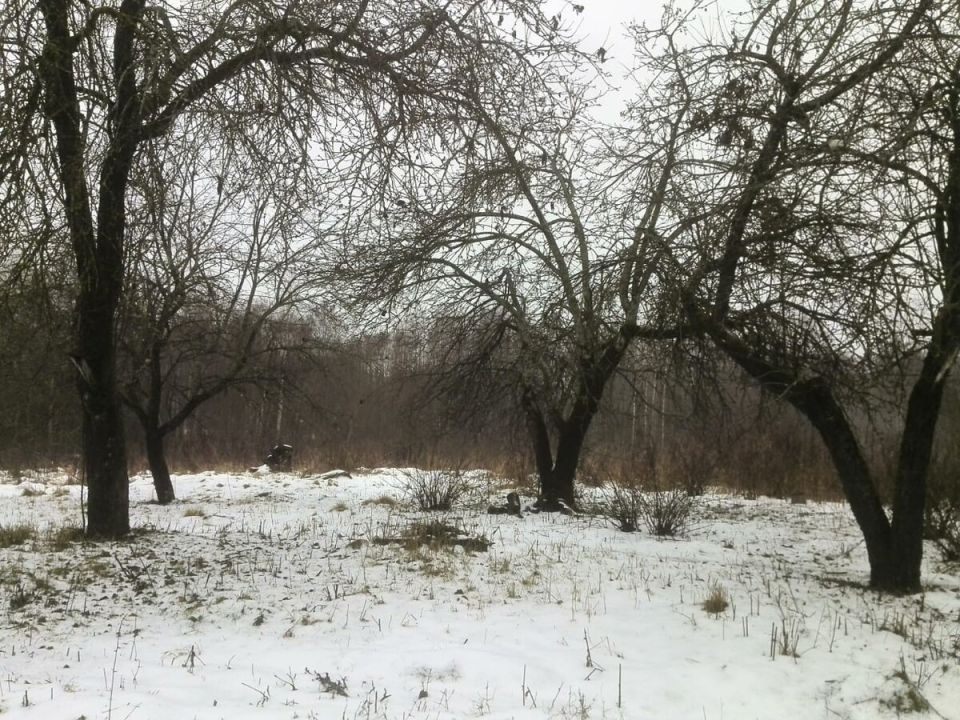 Зимние заботы на даче: как сохранить и приумножить урожай