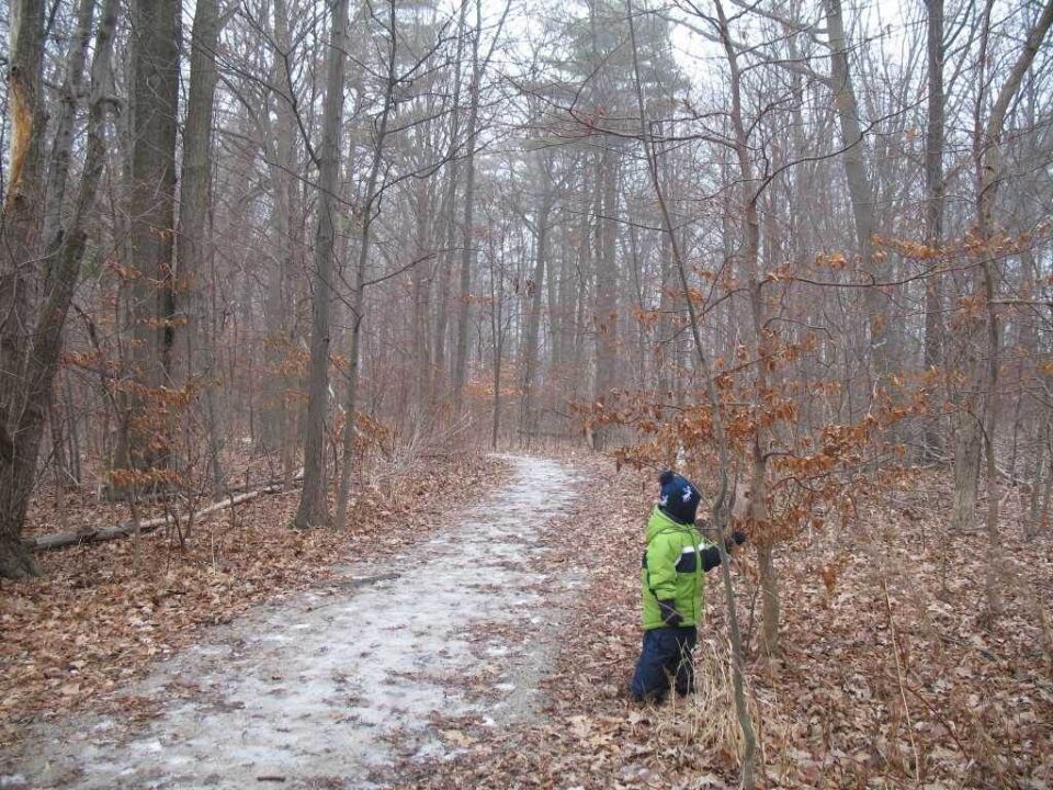 Сила скуки: как «ничегонеделание» помогает перезагрузить сознание