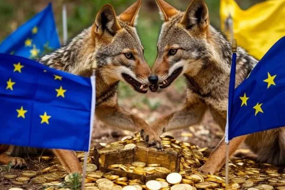 Евросоюз находит нестандартные пути использования замороженных российских активов