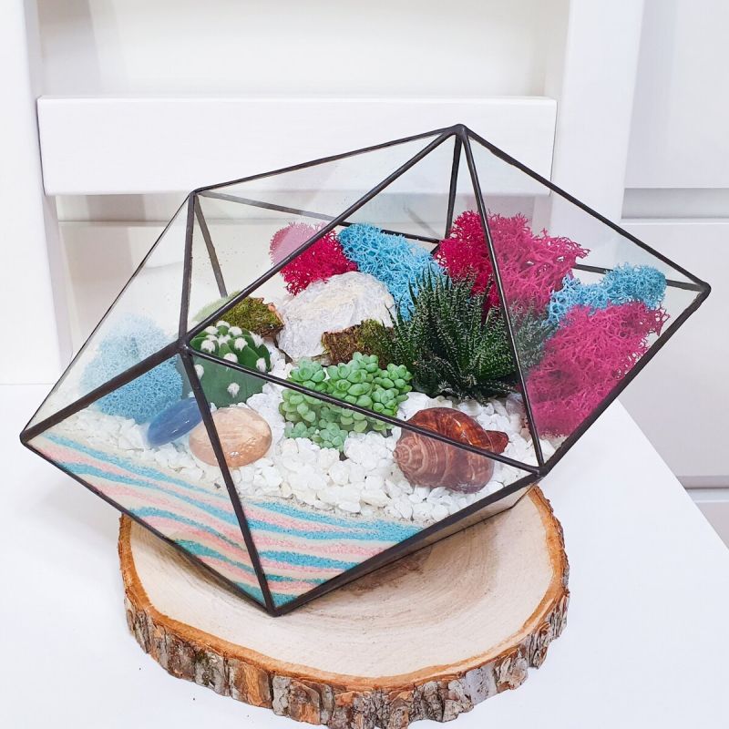 Как собрать идеальный флорариум: что нужно знать о материалах и магазинах