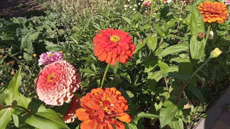 Как летний отдых обернулся настоящим испытанием для домохозяйки