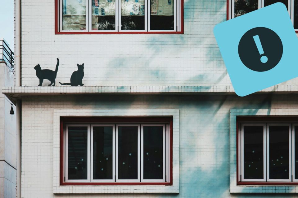 Как мошенники похищают имущество: защита от фантастических афер