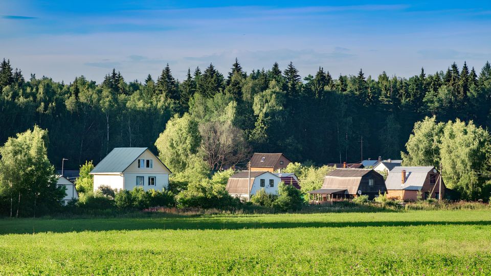 Как избежать уголовной ответственности за спил дерева на даче