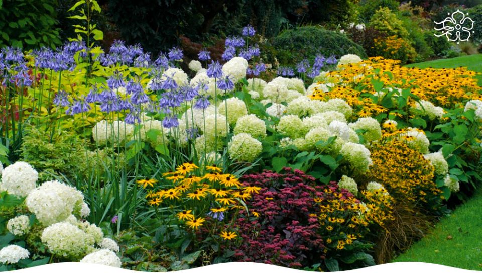 Секреты создания цветника, о которых не догадывались даже бывалые садоводы