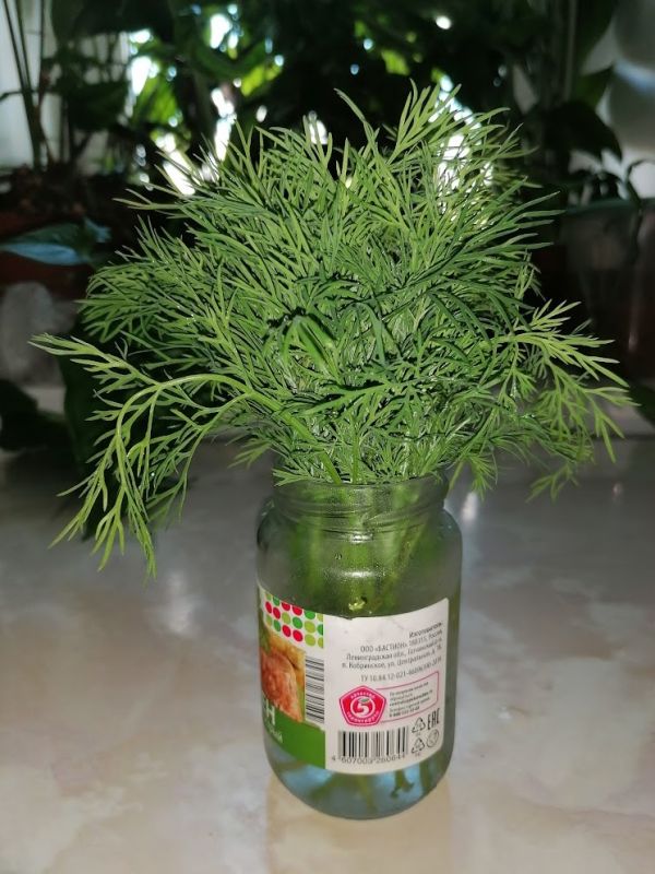 Как сохранить продукты свежими: простые советы и распространенные ошибки