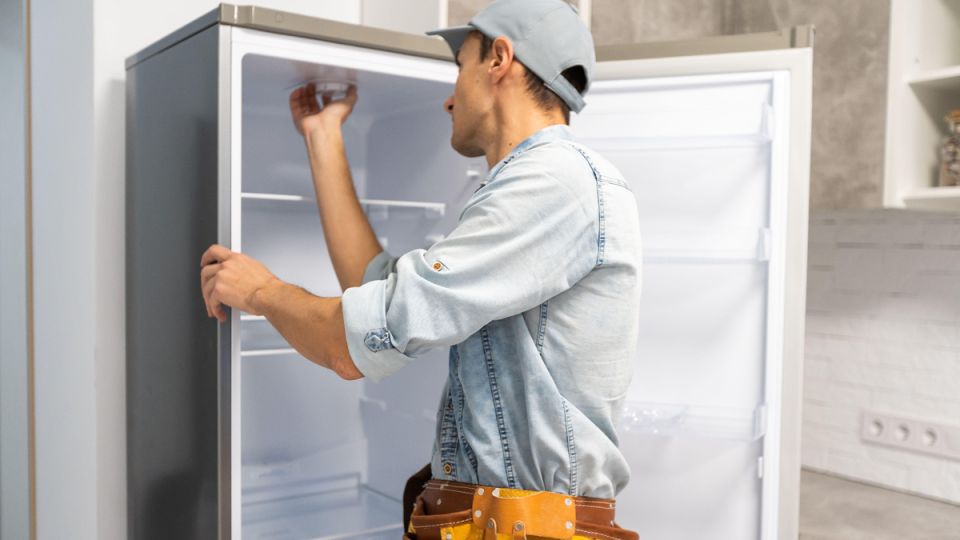 ������ ������� � ��� ���� �������: ����������� ���� ������ �����������