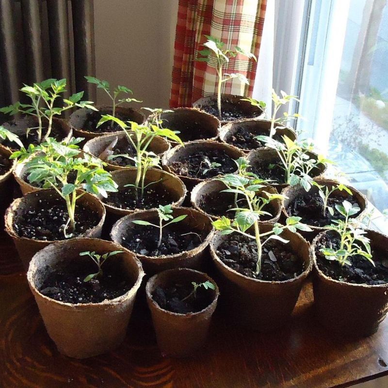 ��� ��� ���� �������� ������� ���������� ������� � ������