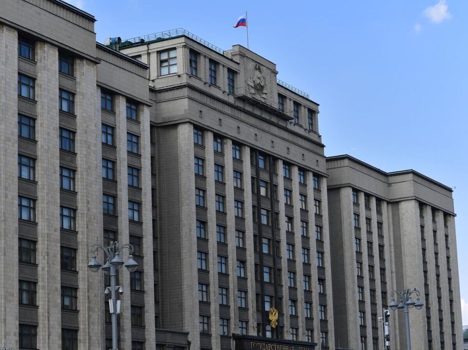 Госдума принимает новый законопроект для защиты домашних животных