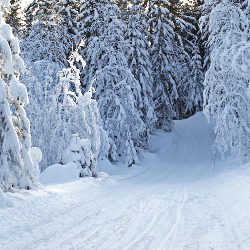 ��� ������ � ����� �������� ������ ������� �� ����: ������� ������������ ������