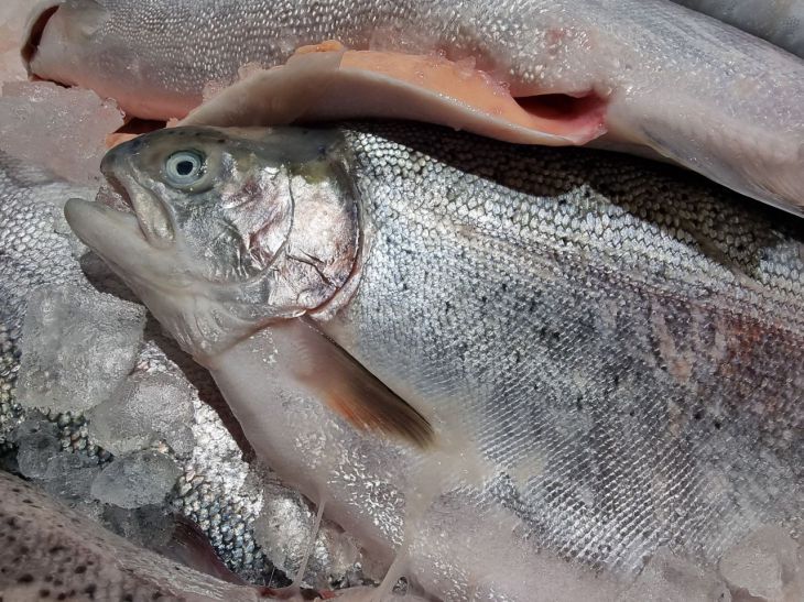 ������ ��� �������: ����� ���� �������� ��������? ���-3 �����, � ������� ������