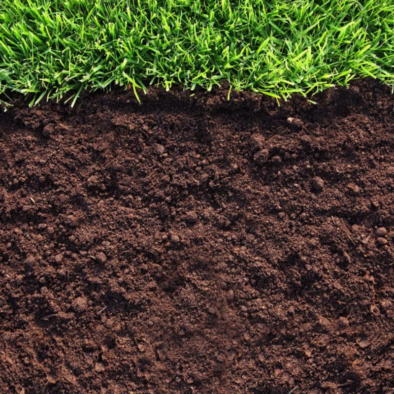 ��� ���������� ����������� ����� � ������� ��������