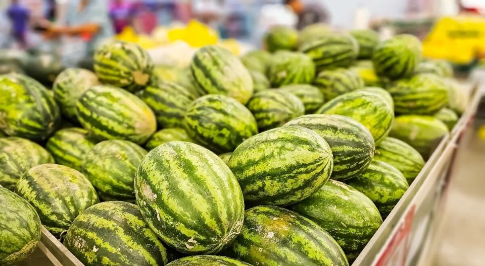 ��� ������� ��������� �����: ������ ���������