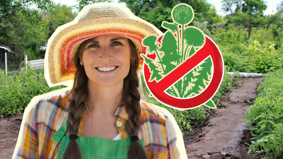 � �������� ����������� �� ����� ���: ��������� ����� �� �������� �������� �������