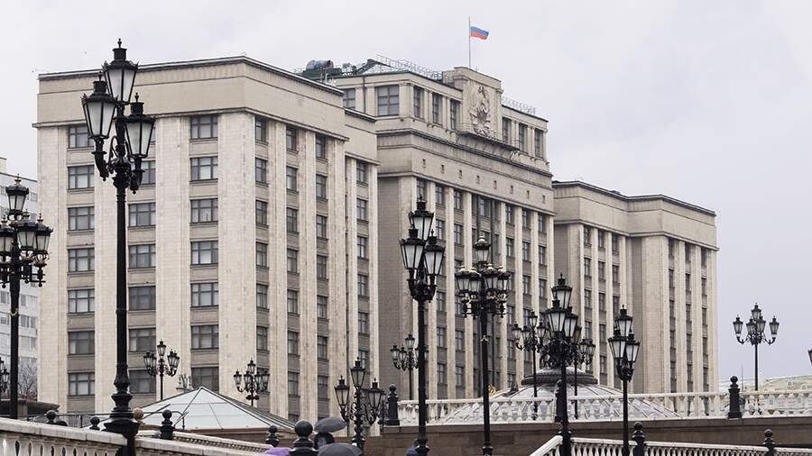 ГД планирует упростить доступ к материалам по делам КоАП