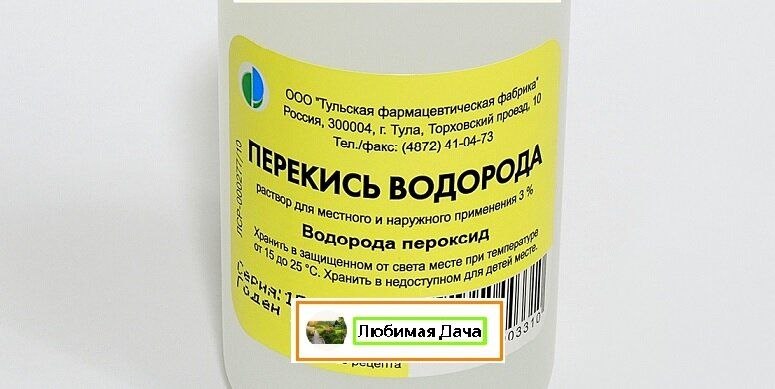 Перекись водорода: неожиданная находка для домашних цветоводов
