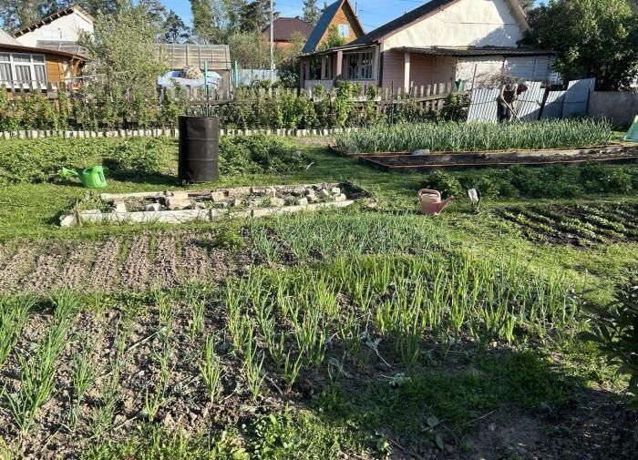 ��� ������� ��������� ���������� ��� �����: ������� ������������ �����������