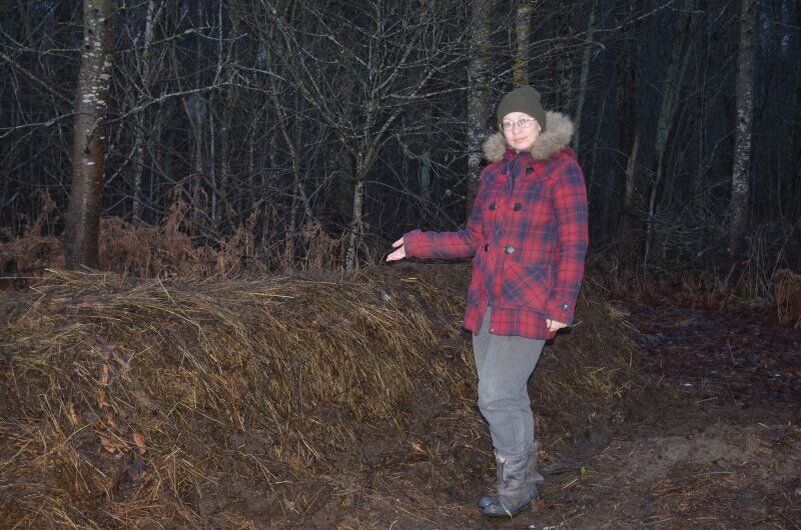 Как опилки превращаются в ценное удобрение для вашего сада