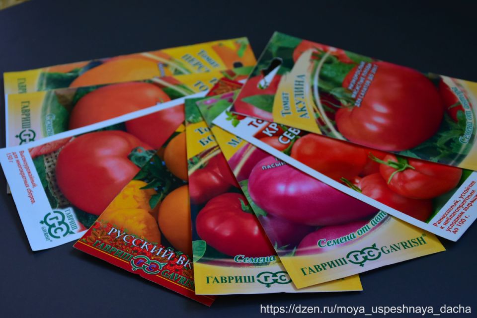 ��� 10 ������� ��� ��������� ������: ���� ��� �����