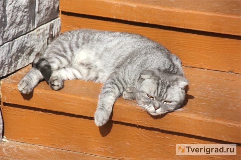 ������� ������ ������� ���� �� �������� ��������� � ���������