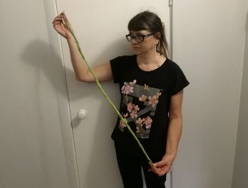 Выращивание вигны: путь к успеху и тайны, которые все еще ждут своего открытия